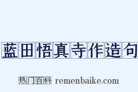 蓝田悟真寺作造句是什么意思的图片